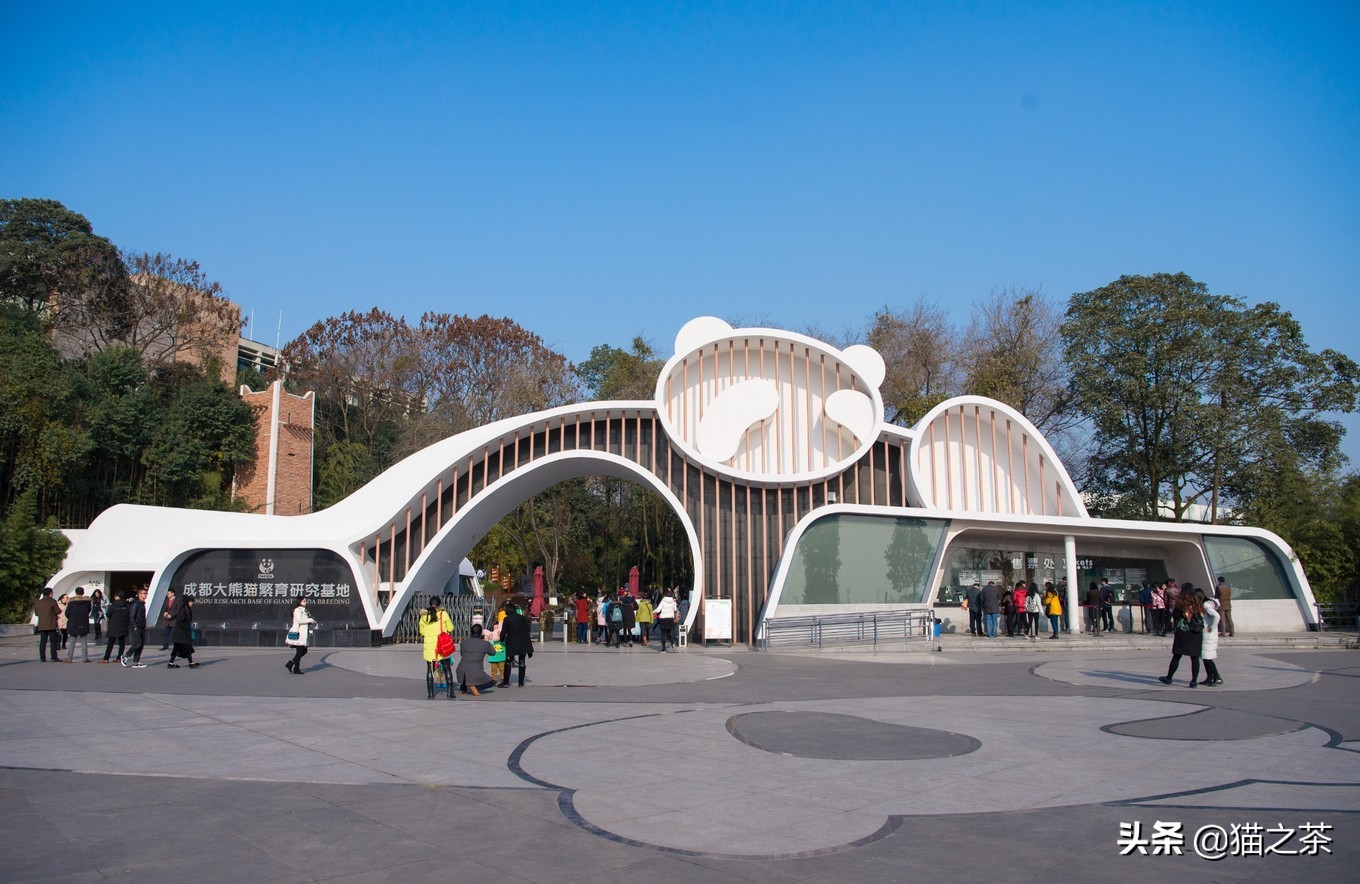 成都必吃的10天攻略,成都出发两天一夜美食之旅