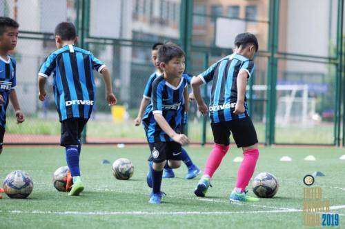 今天，这支小学生足球队迎来了国际足球明星！孩子们都乐疯了