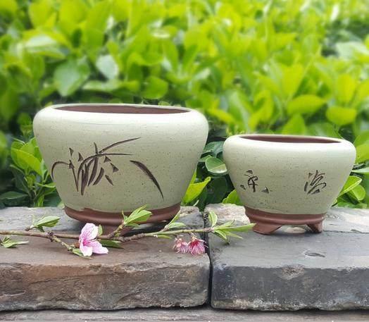 什么陶瓷花盆最好,陶瓷花盆养什么好