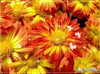 有一种深爱，叫不再联系！值得一读