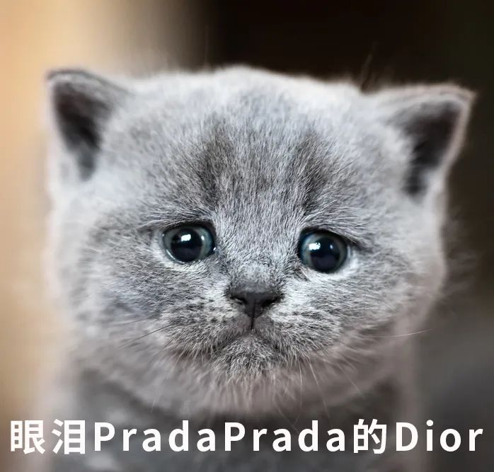 告别圆肩驼背乌龟脖,乌龟颈站立矫正