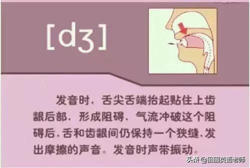 基础英语48个国际音标详解，赶紧来学习！