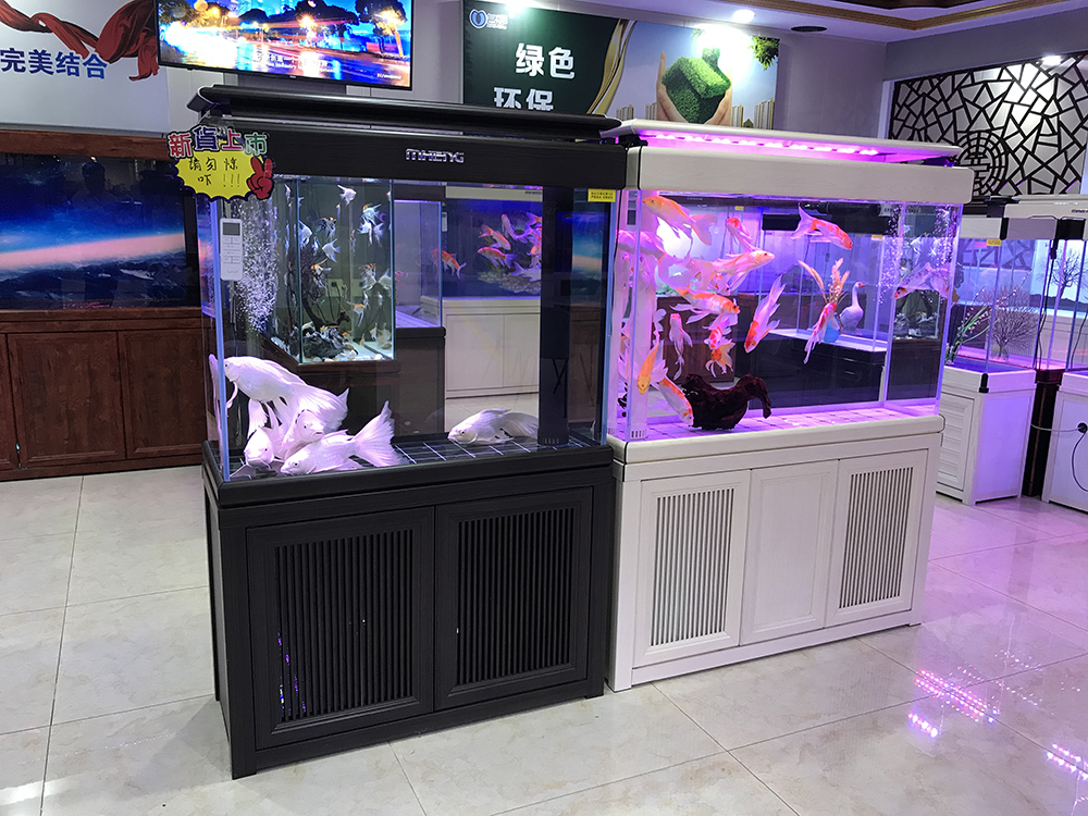 开一个水族店需要多少钱,开一个水族店多少钱