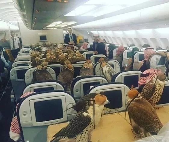 为什么迪拜人有钱,迪拜警方有多有钱