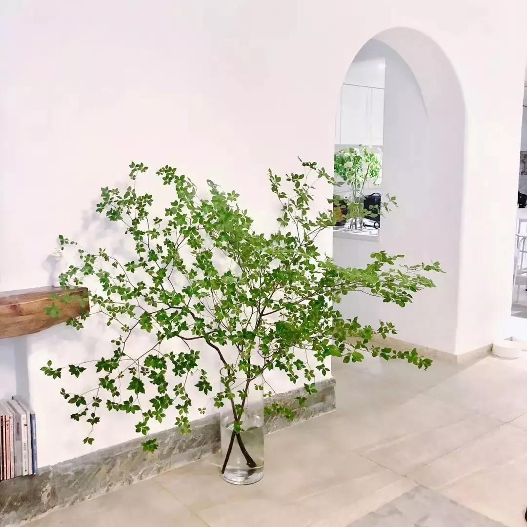 「恋·家」90后花艺师的森系生活，在洞穴里建花房