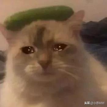 七酱是不是退役？粉丝们出面发言！