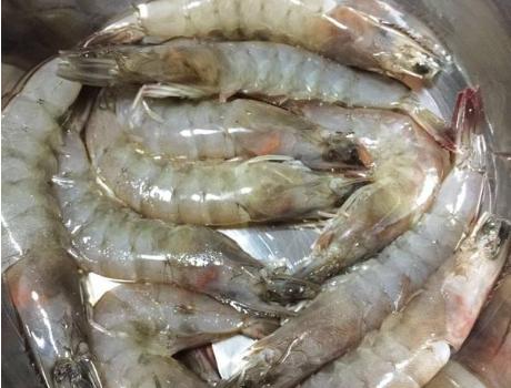 白水煮虾要怎么才不会黑,白水煮虾煮几分钟做法