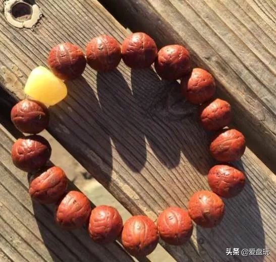 放了2年的凤眼，翻出来，虫子能组一个篮球队了