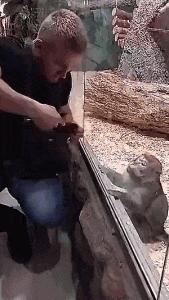 搞笑GIF段子：.我的小萝莉呢？你还我的小萝莉