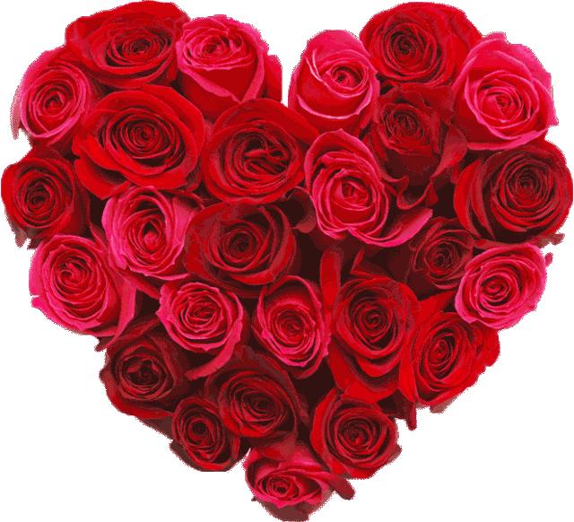 5.20到了,520朵玫瑰送给群里所有的人!越早打开越好！