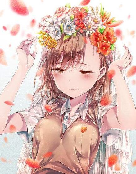 某科学的超电磁炮为什么叫电击使,某科学的超电磁炮能力者名称