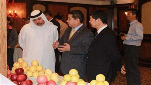 迪拜为什么这么富有呢,迪拜为什么这么有钱是聪明人多吗