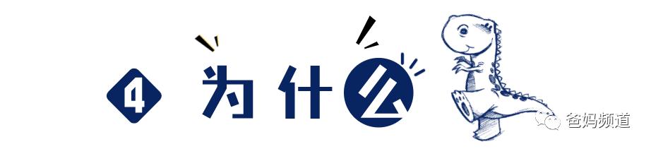 3-5岁儿童恐龙大全,0-6岁儿童恐龙合集