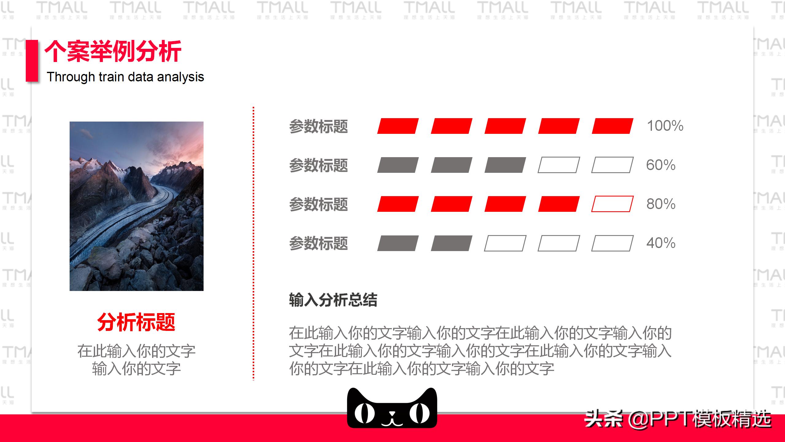 天猫运营年总结计划,天猫运营团队介绍ppt