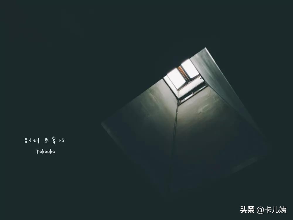 高岡：一座不食人间烟火的城市