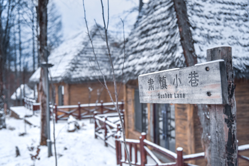 冰雪总动员简介,冰雪总动员