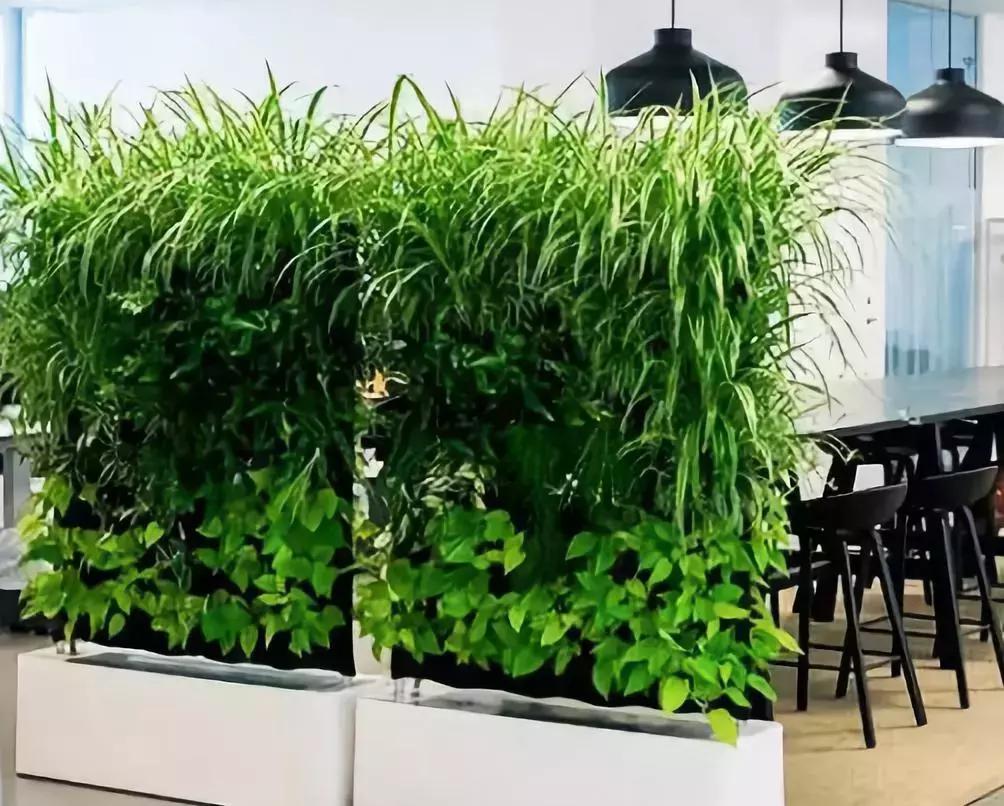 植物屏风隔断效果图,小型屏风
