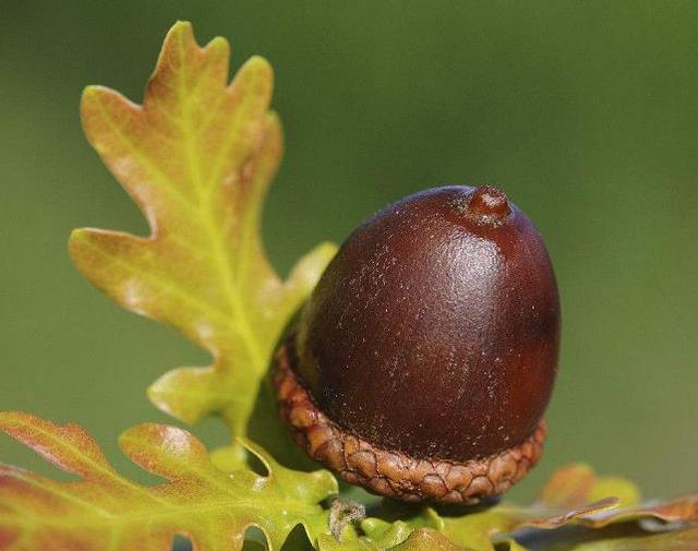 老祖宗教你怎样做人处事,为人处世必须明白的十大忌