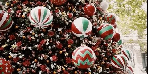 悉尼圣诞节美食攻略,悉尼正能量