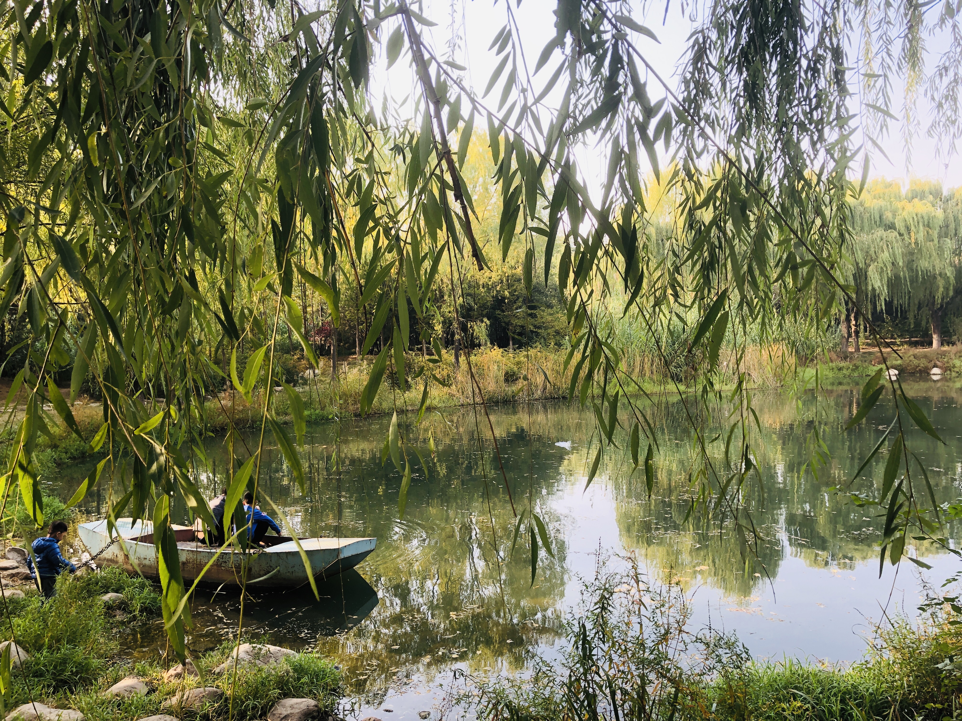 雨后的济南森林公园美景让人陶醉,济南森林公园美成“童话”