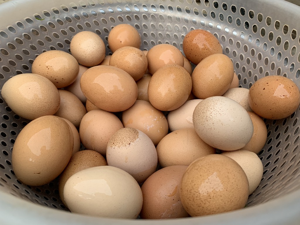 腌鸡蛋只放盐的做法,腌鸡蛋最好吃的方法不放盐