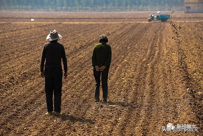 回忆一下生产队年代,回忆生产队的年代