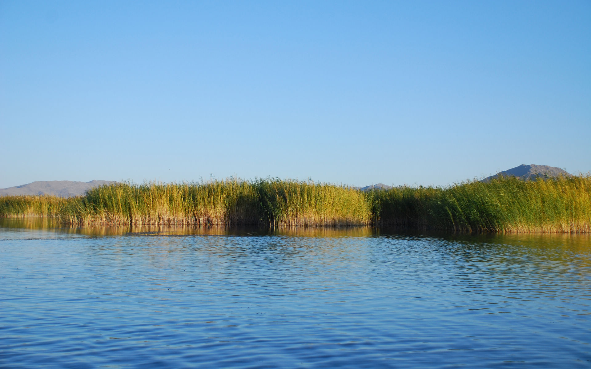 你的壁纸该换了4k超清,你的壁纸该换了图片