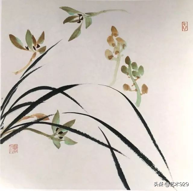 国画兰花的画法太棒了简单易学,泰国兰花绘画技法