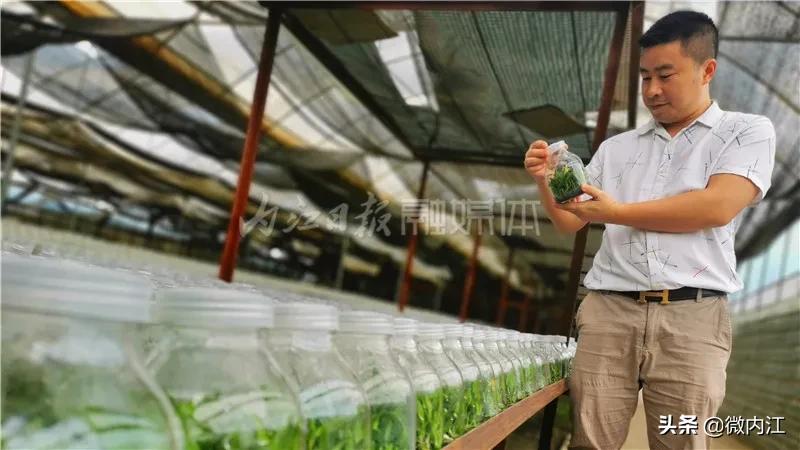 厉害发明专利,厉害了中国的技术