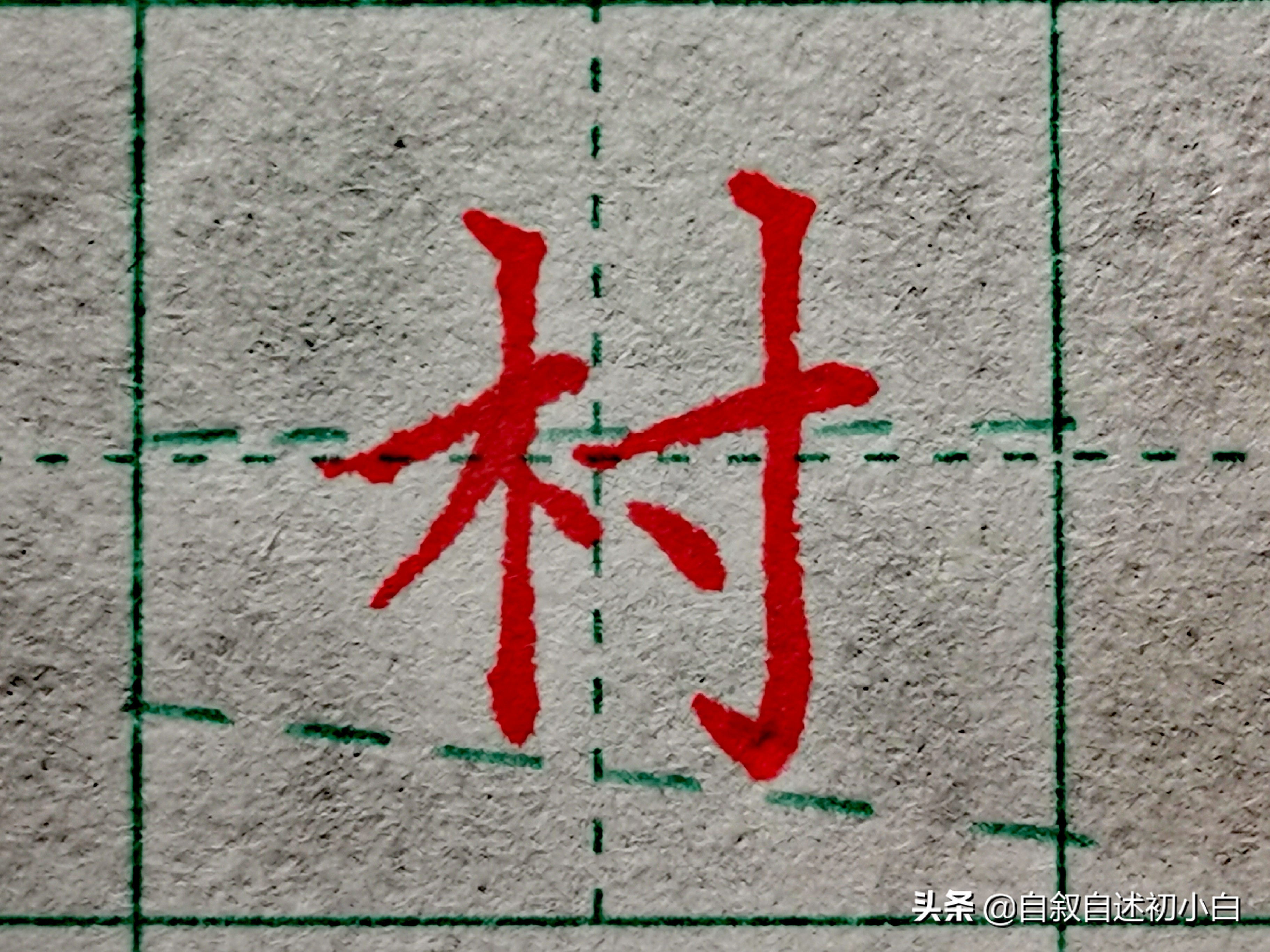 木字旁楷体书法入门,木字旁的生字练习