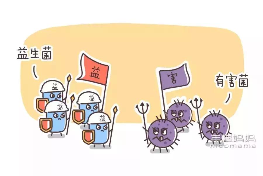 伊能静推荐益生菌,伊能静谈益生菌