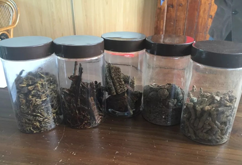 丹阳杨金方，希望有人能把嘉山灶马膏发扬光大