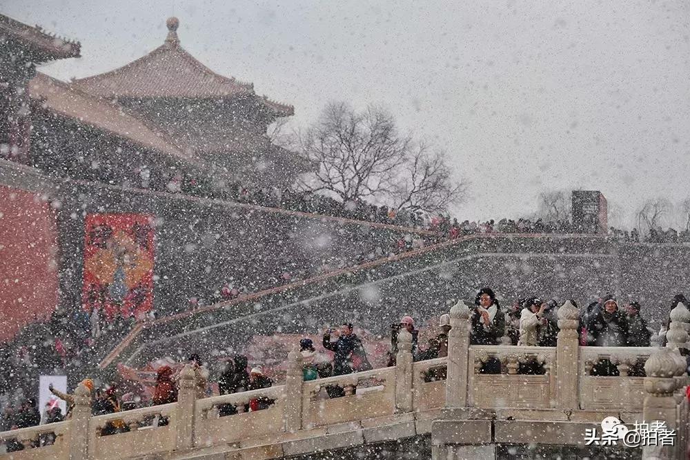北京迎初雪9只熊猫,北京喜迎初雪去北京动物园看熊猫