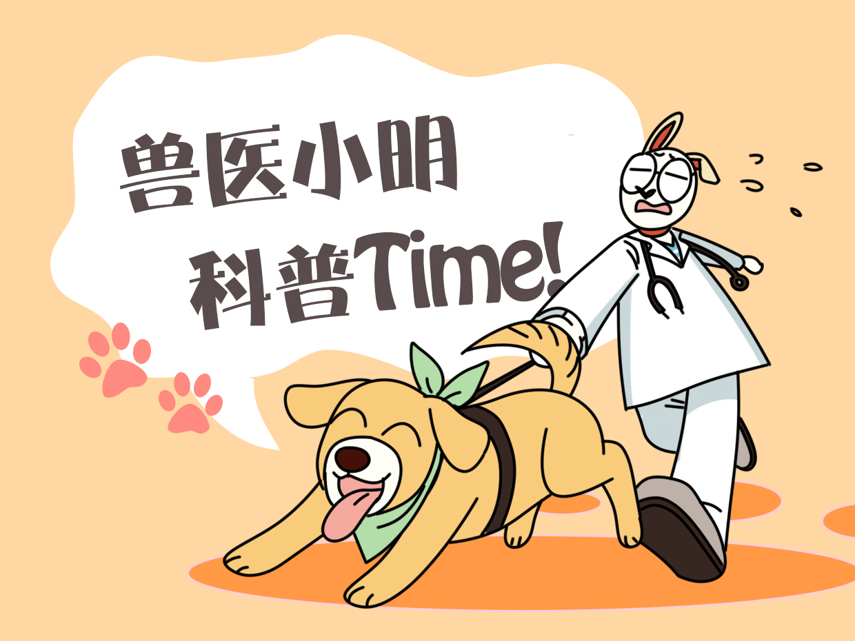 带狗出去排泄，看它蹲下半天都没结束觉得不对劲，凑近后直捂脸