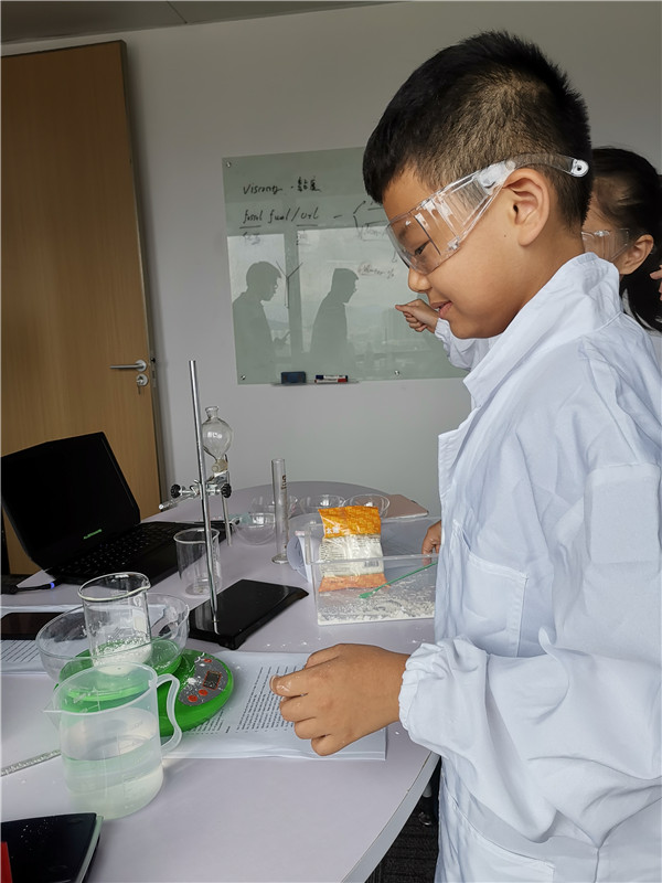 国际学校ib课程与ap课程的区别,ap课程ib课程