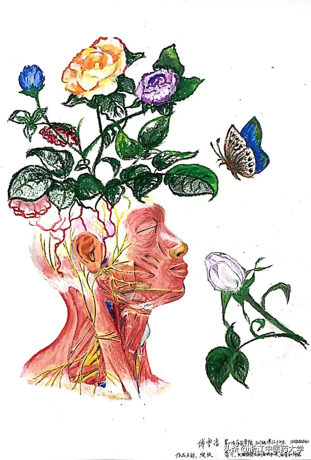 Amazing怎么写,wonderful怎么画