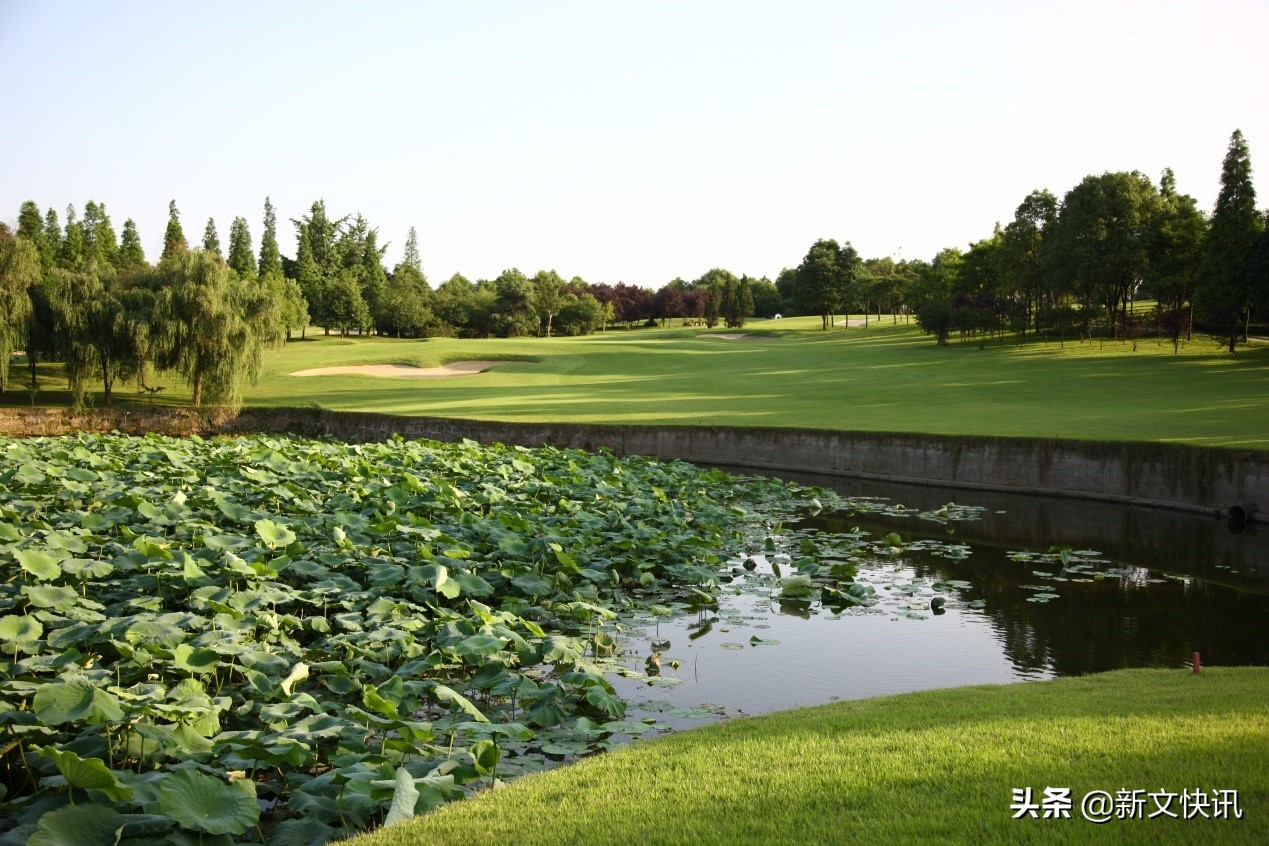 成都世警会开幕式,2019成都世警会开幕式