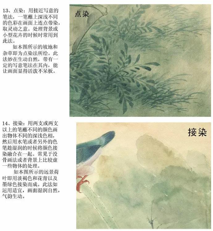 中国花鸟画国画教学,宋代工笔花鸟画表现技法