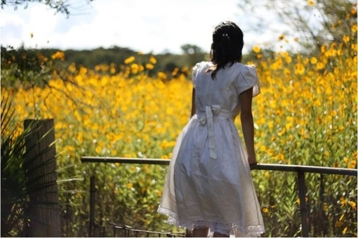 人生哲理短句人生感悟,人生感悟人生哲理的短句子