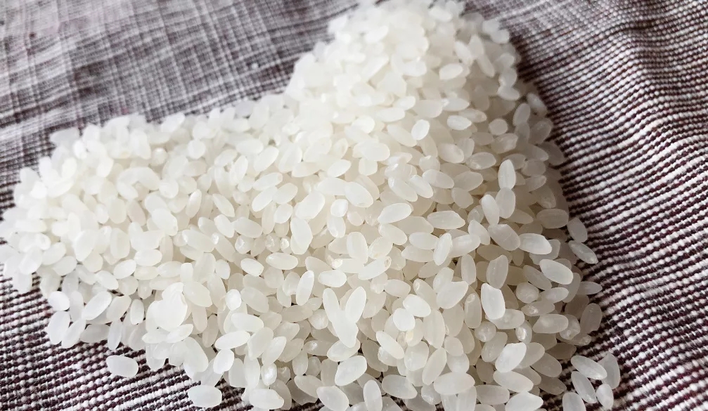 初遇这粒寿司米，一见却倾心