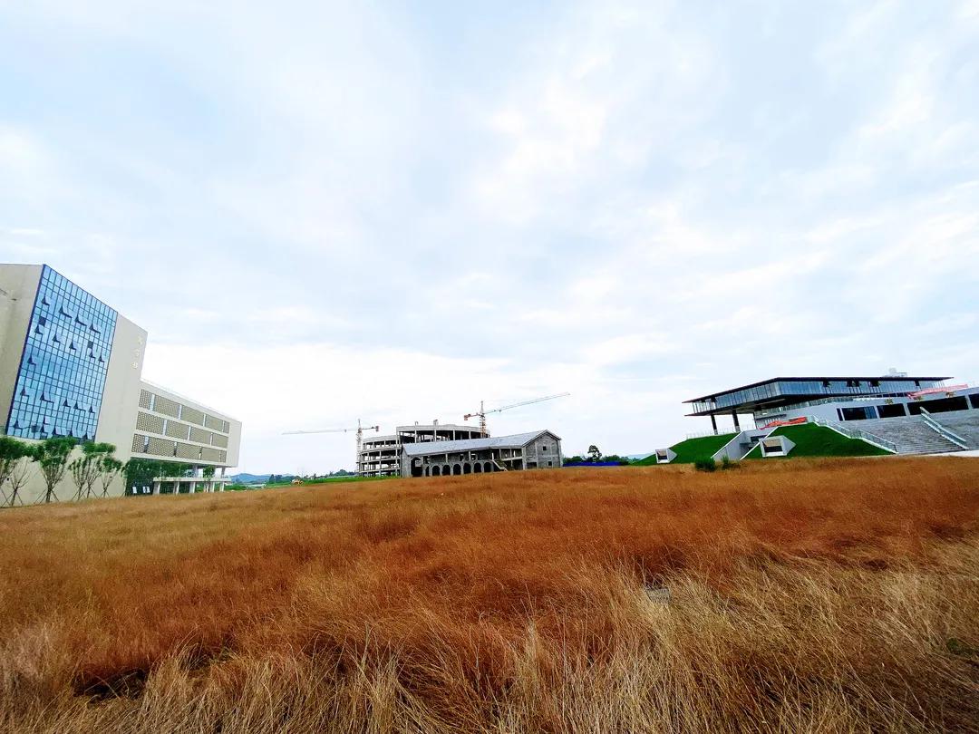 南充大学城建设最新消息,南充大学城几所学校建成