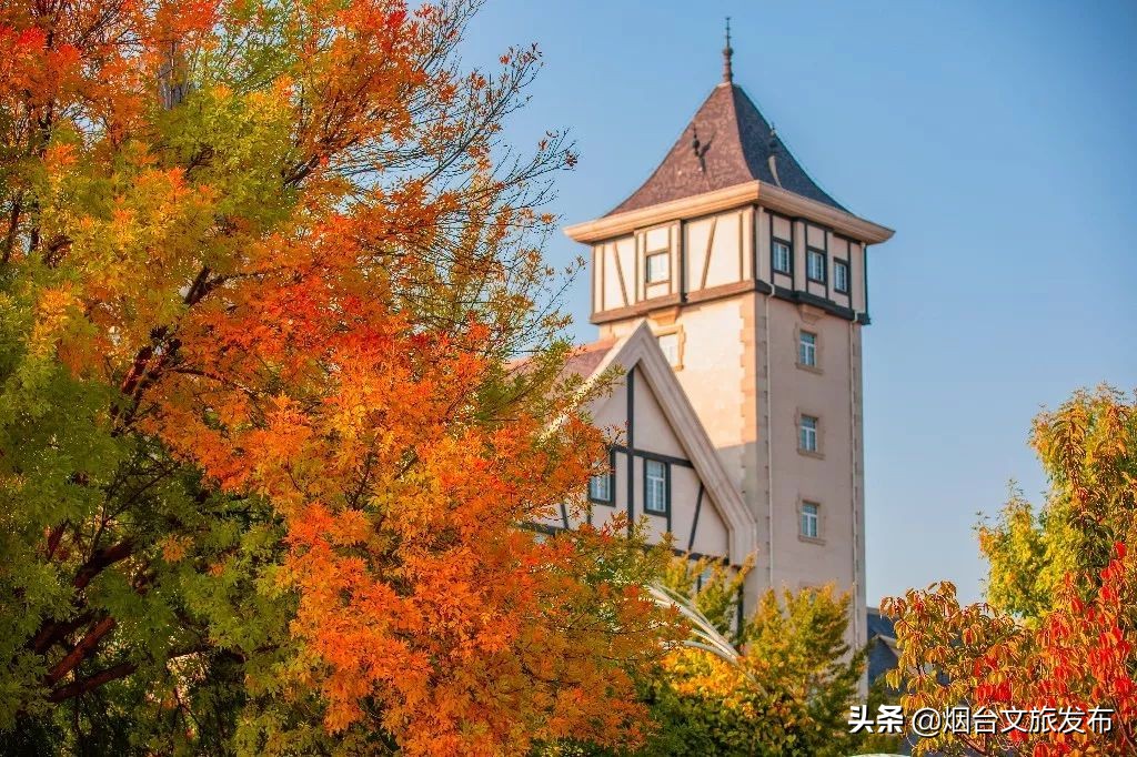 张裕卡斯特酒庄摘葡萄,张裕卡斯特酒庄750毫升定制