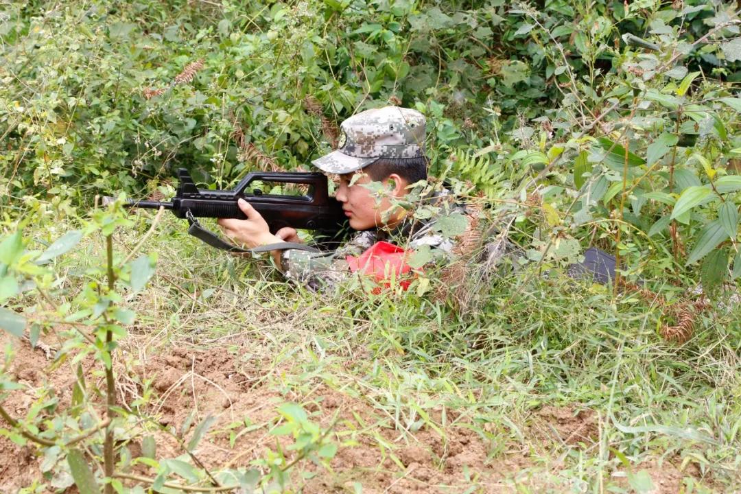 福建省军区民兵演习,战区部队的军事演练