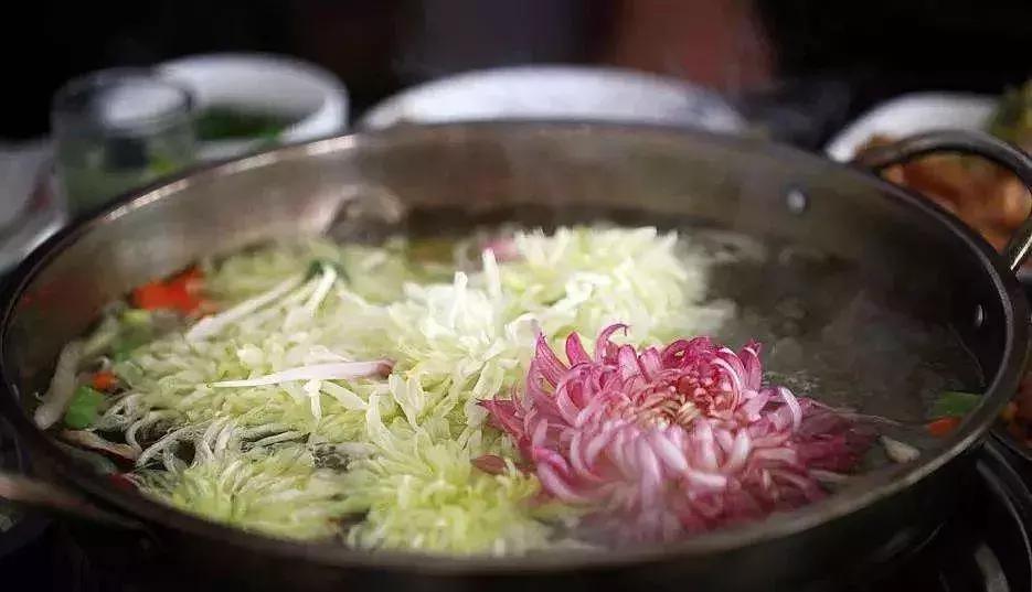 100岁长寿指南：人懒、有钱、吃花、不当官