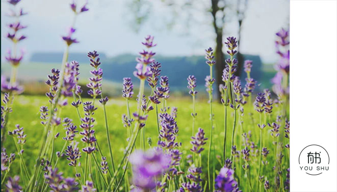 财不进门福不走偏门什么意思,农村老话财不进急门福不进偏门