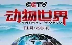 赵忠祥讲述真实故事,光阴的故事赵忠祥