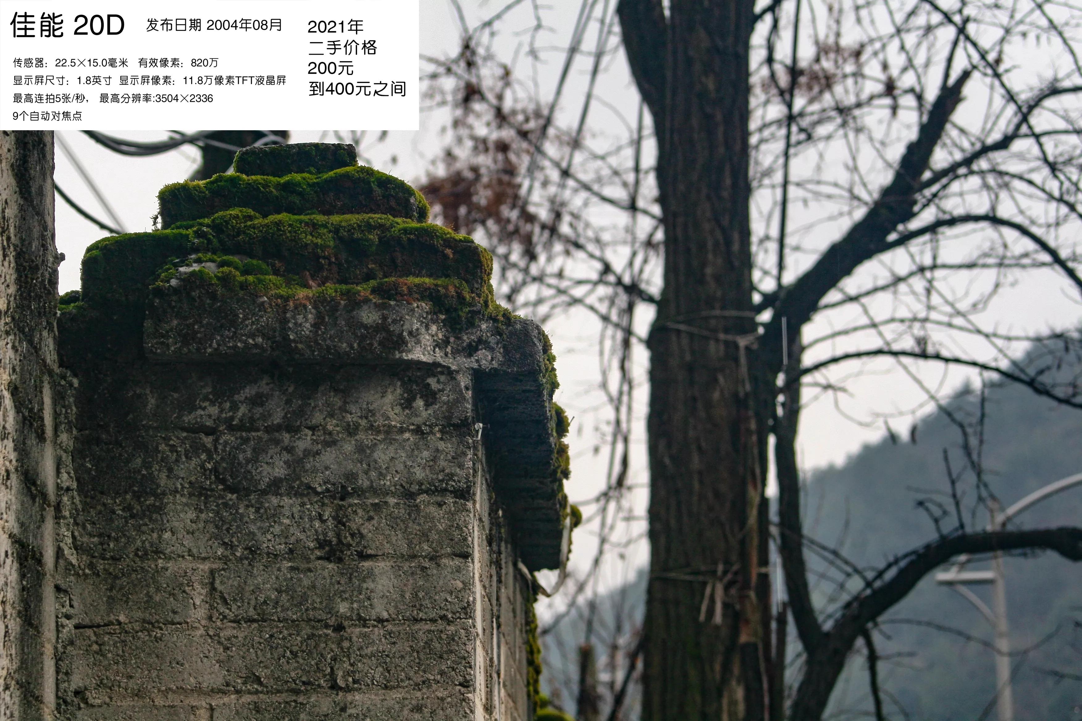 去学摄影花费2w到底值不值得,想学摄影不知道从哪里入手