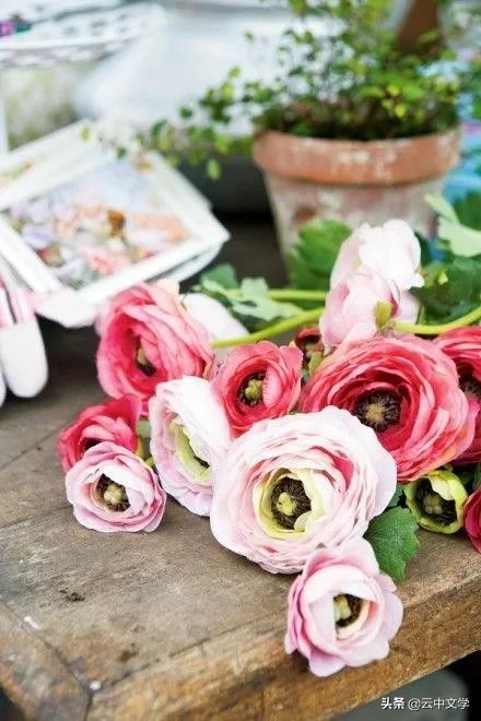 奥数30个知识点,小学四年级奥数知识点