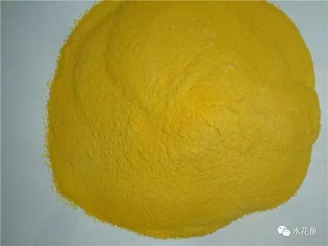 蓝藻爆发的正确处理方法,蓝藻爆发的原因及危害该如何处理