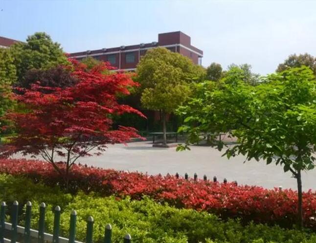 昆山最厉害的10所小学曝光,昆山十大高中